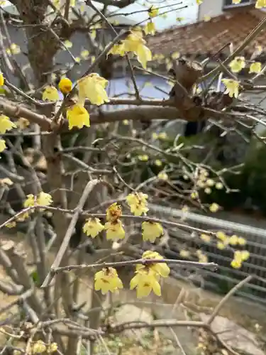 常真寺(千葉県)