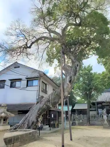 皇大神社の自然