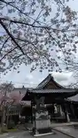 吒枳尼天(法伝寺)(京都府)