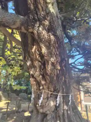 九重神社(埼玉県)