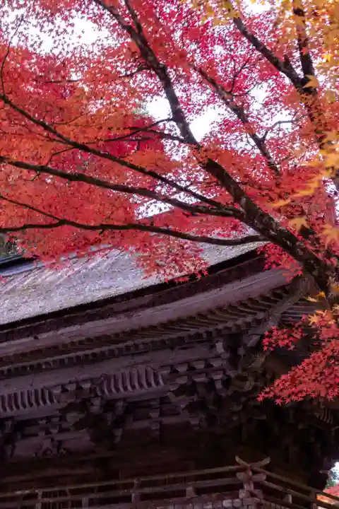 大矢田神社(岐阜県)