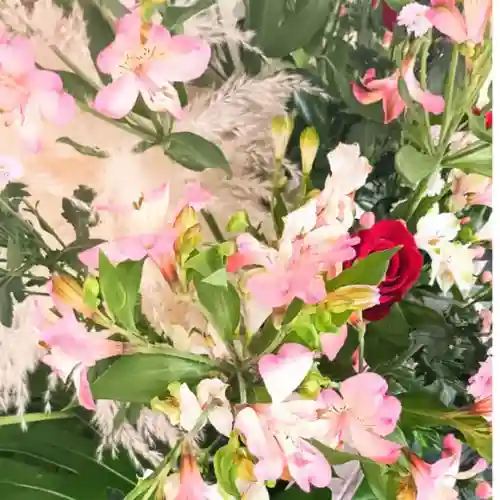 彌彦神社　(伊夜日子神社)の手水舎