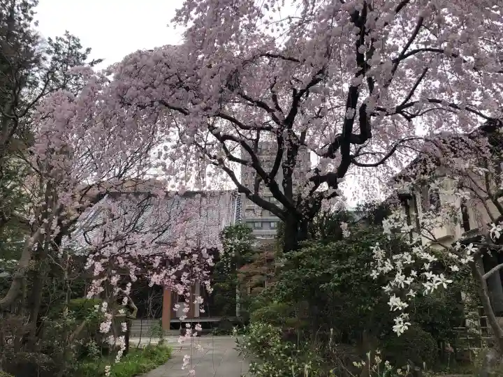 徳泉寺の{uncategorized: "未分類", other: "その他", undefined: "問題あり", building: "その他建物", grave: "お墓", sacred_gate: "鳥居", guardian: "狛犬", statue: "像", buddha: "仏像", history: "歴史", nature: "自然", garden: "庭園", animal: "動物", pagoda: "塔", temizu: "手水舎", mountain_gate: "山門・神門", sanctuary: "本殿・本堂", subordinate: "末社・摂社", art: "芸術", scenery: "景色", jizo: "地蔵", ema: "絵馬", goshuin: "御朱印", omikuji: "おみくじ", items: "授与品その他", amulet: "お守り", goshuincho: "御朱印帳", eats: "食事", festival: "お祭り", votive_dance: "神楽", shichigosan: "七五三参", wedding: "結婚式", experience: "体験その他", initially: "初詣", around: "周辺", anti_infection: "感染症対策"}
