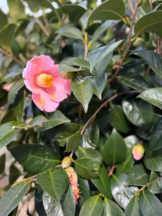 下太田廃寺塔跡(兵庫県)