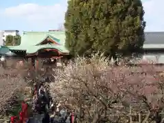 亀戸天神社の景色