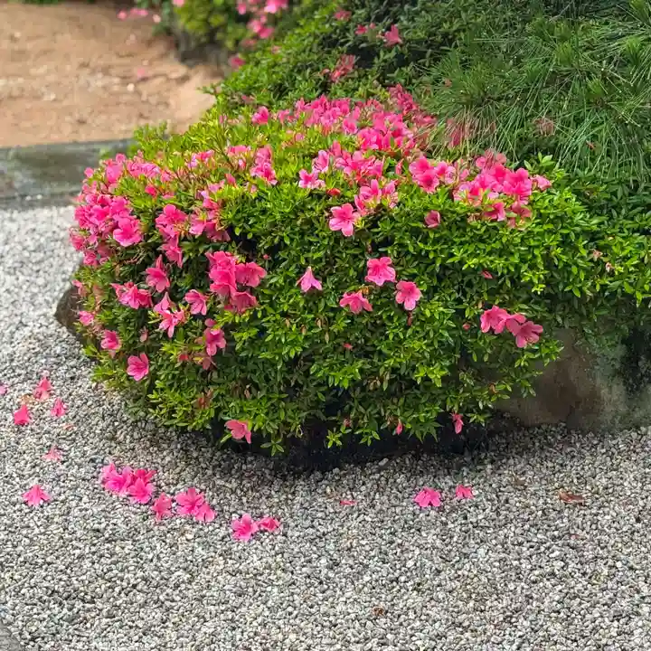 伊勢の国 四天王寺(三重県)