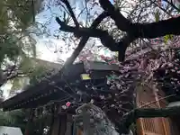 三篠神社(広島県)