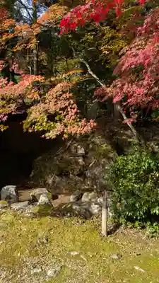 地藏院(京都府)