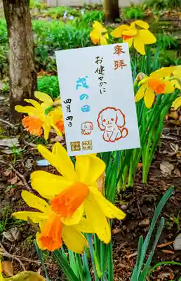 大宮・大原神社(千葉県)
