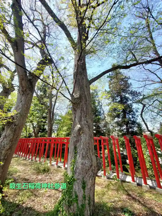 伊佐須美神社(福島県)