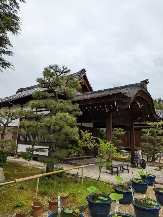 法金剛院(京都府)