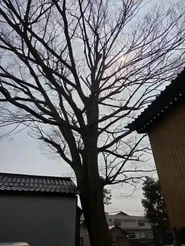 清水八幡神社の{uncategorized: "未分類", other: "その他", undefined: "問題あり", building: "その他建物", grave: "お墓", sacred_gate: "鳥居", guardian: "狛犬", statue: "像", buddha: "仏像", history: "歴史", nature: "自然", garden: "庭園", animal: "動物", pagoda: "塔", temizu: "手水舎", mountain_gate: "山門・神門", sanctuary: "本殿・本堂", subordinate: "末社・摂社", art: "芸術", scenery: "景色", jizo: "地蔵", ema: "絵馬", goshuin: "御朱印", omikuji: "おみくじ", items: "授与品その他", amulet: "お守り", goshuincho: "御朱印帳", eats: "食事", festival: "お祭り", votive_dance: "神楽", shichigosan: "七五三参", wedding: "結婚式", experience: "体験その他", initially: "初詣", around: "周辺", anti_infection: "感染症対策"}