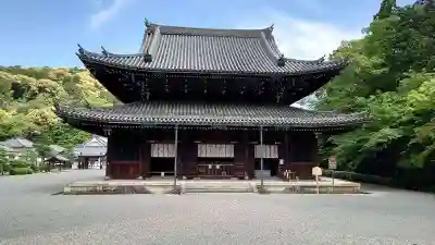 御寺 泉涌寺の本殿・本堂
