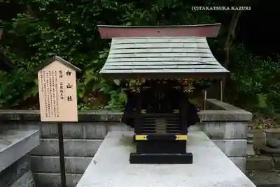 師岡熊野神社(神奈川県)