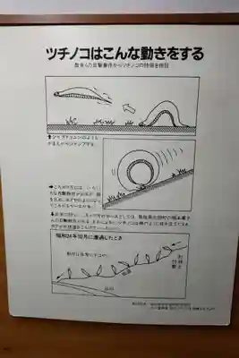 つちのこ神社（親田槌の子神社）(岐阜県)