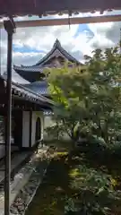 興聖寺(京都府)