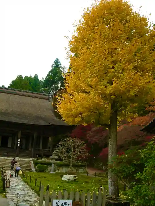 大原寺勝林院の自然