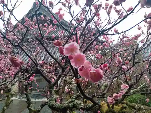 穴太寺(京都府)