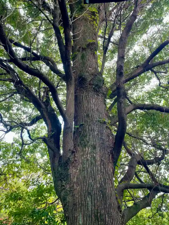 大聖院(神奈川県)
