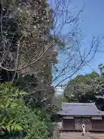 畑山神社の本殿・本堂