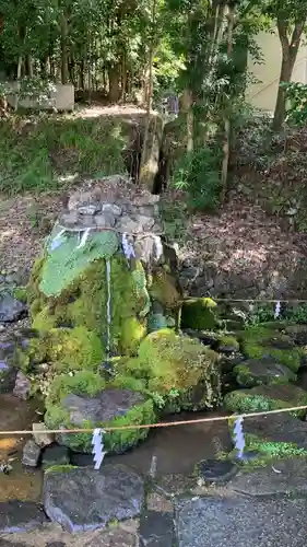 出雲大神宮の庭園