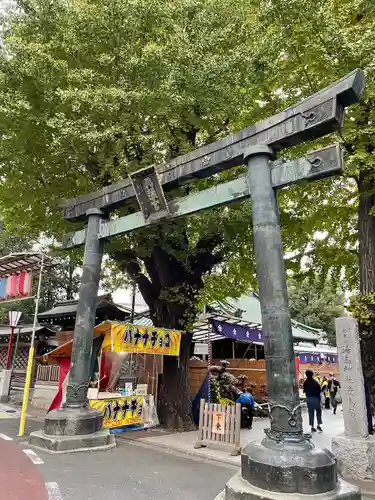 湯島天満宮の鳥居