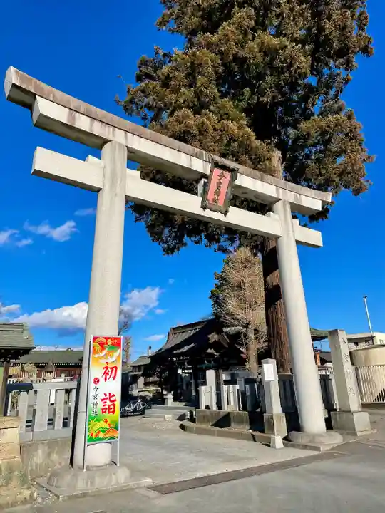 鹿沼今宮神社(栃木県)