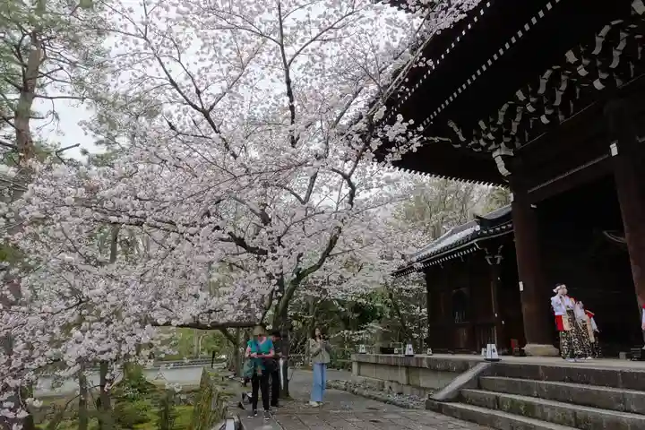 知恩院(京都府)