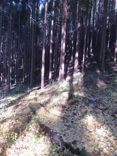 白山神社の自然