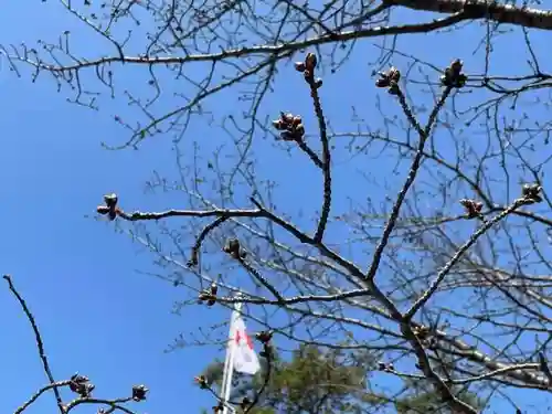 彌彦神社　(伊夜日子神社)の自然