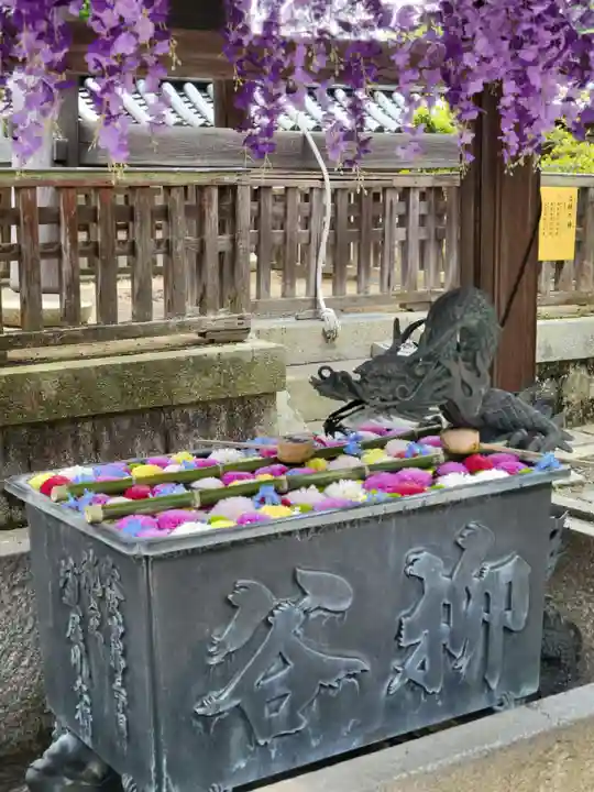 柳谷観音 楊谷寺(京都府)