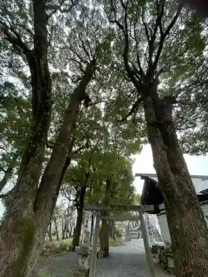 御裳神社の{uncategorized: "未分類", other: "その他", undefined: "問題あり", building: "その他建物", grave: "お墓", sacred_gate: "鳥居", guardian: "狛犬", statue: "像", buddha: "仏像", history: "歴史", nature: "自然", garden: "庭園", animal: "動物", pagoda: "塔", temizu: "手水舎", mountain_gate: "山門・神門", sanctuary: "本殿・本堂", subordinate: "末社・摂社", art: "芸術", scenery: "景色", jizo: "地蔵", ema: "絵馬", goshuin: "御朱印", omikuji: "おみくじ", items: "授与品その他", amulet: "お守り", goshuincho: "御朱印帳", eats: "食事", festival: "お祭り", votive_dance: "神楽", shichigosan: "七五三参", wedding: "結婚式", experience: "体験その他", initially: "初詣", around: "周辺", anti_infection: "感染症対策"}