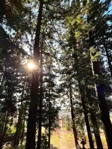 蚊里田八幡宮の自然
