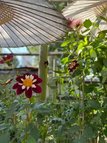 上野東照宮(東京都)