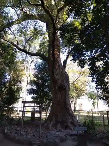 高座結御子神社（熱田神宮摂社）(愛知県)