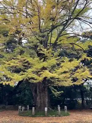 赤坂氷川神社(東京都)