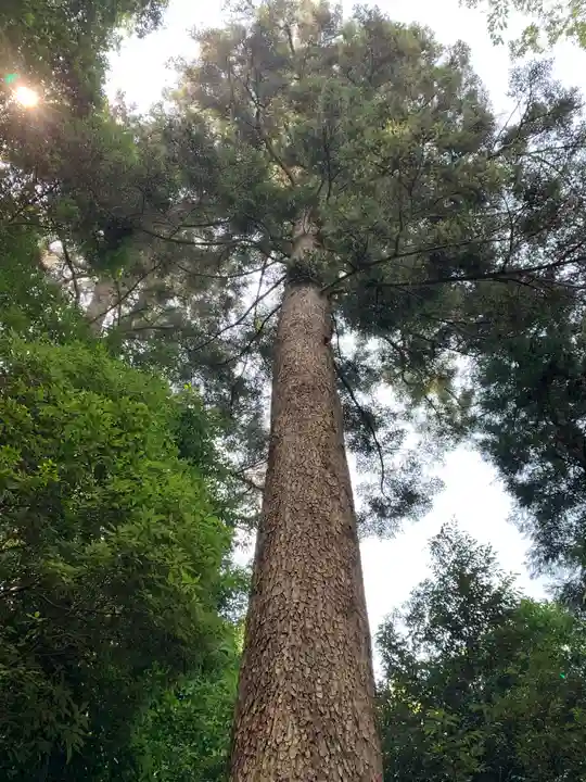 賀茂神社(群馬県)