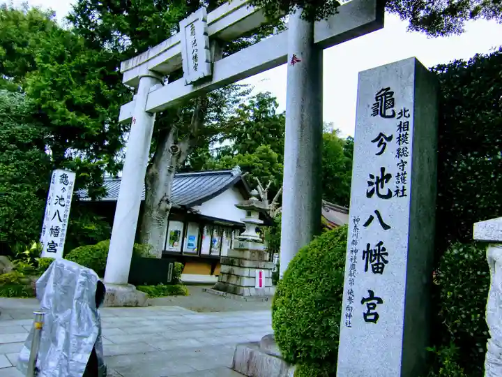 亀ケ池八幡宮の鳥居