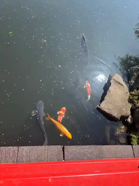 貫井神社の{uncategorized: "未分類", other: "その他", undefined: "問題あり", building: "その他建物", grave: "お墓", sacred_gate: "鳥居", guardian: "狛犬", statue: "像", buddha: "仏像", history: "歴史", nature: "自然", garden: "庭園", animal: "動物", pagoda: "塔", temizu: "手水舎", mountain_gate: "山門・神門", sanctuary: "本殿・本堂", subordinate: "末社・摂社", art: "芸術", scenery: "景色", jizo: "地蔵", ema: "絵馬", goshuin: "御朱印", omikuji: "おみくじ", items: "授与品その他", amulet: "お守り", goshuincho: "御朱印帳", eats: "食事", festival: "お祭り", votive_dance: "神楽", shichigosan: "七五三参", wedding: "結婚式", experience: "体験その他", initially: "初詣", around: "周辺", anti_infection: "感染症対策"}