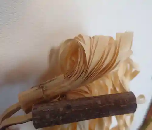 入間川大国神社(埼玉県)