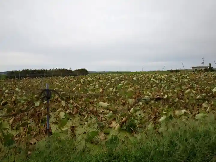 神社(名称不明)の周辺