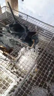 北海道神宮頓宮の手水舎