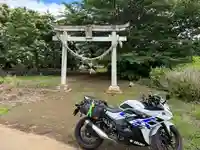 小坂熊野神社(茨城県)