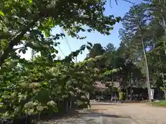 甲斐奈神社(山梨県)