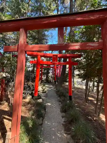 開運招福 飯玉神社(群馬県)