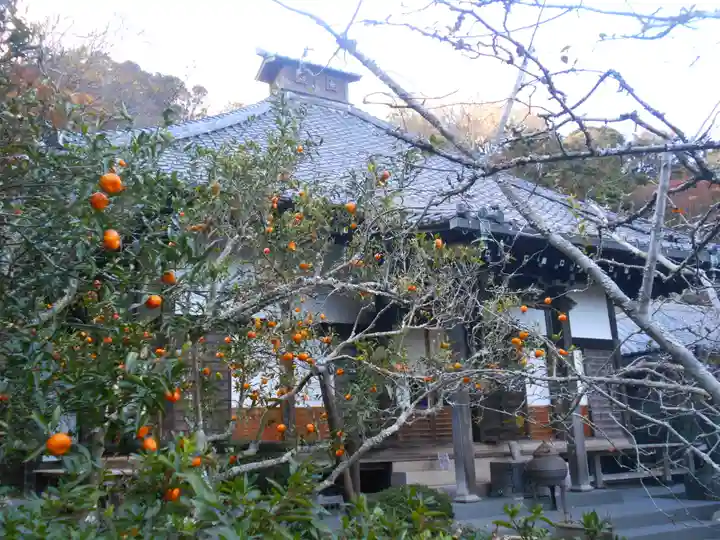 光則寺のその他建物