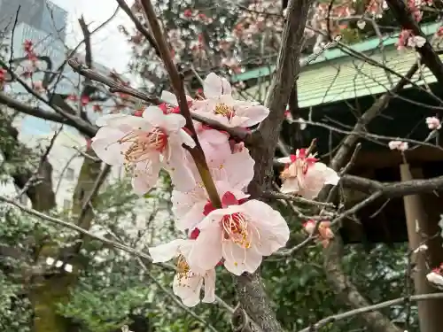 芝大神宮(東京都)