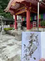 岩戸弘法弘峰寺(岐阜県)