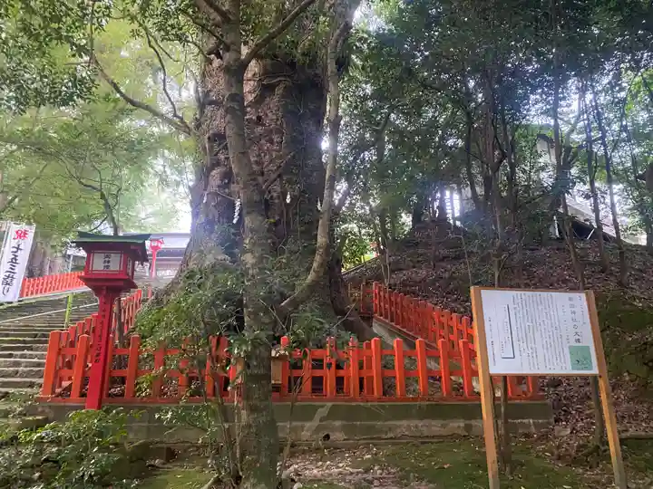 新田神社(鹿児島県)