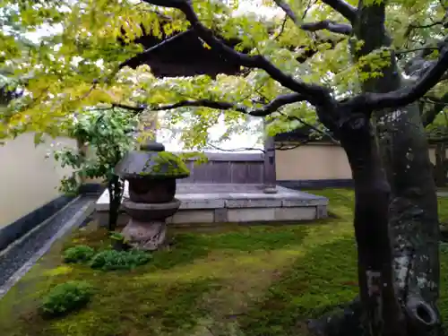 黄梅院(京都府)